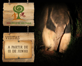 Imagem Passeio Noturno no Zoológico